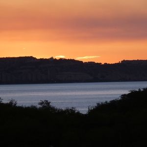 Meet your Posher, Carlos